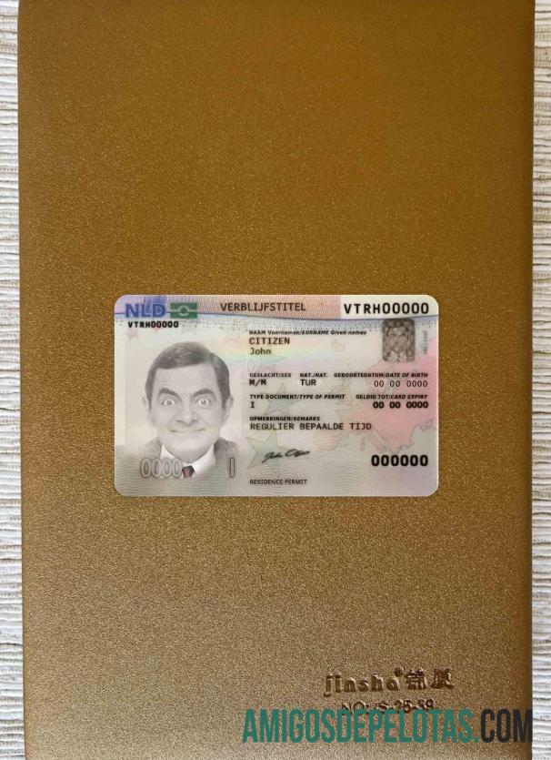 Netherlands Residence Permit olhar de foto frente modelo